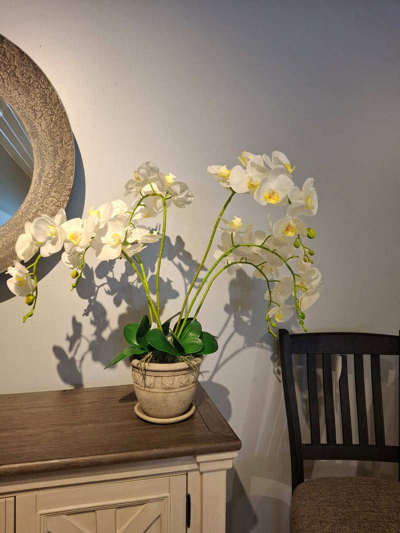 Orchid planter