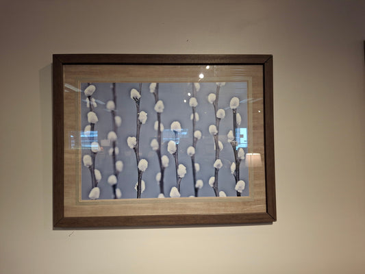 Pussywillow wall art